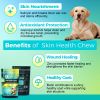 Skin Health Chew for Dogs Supports Coat and Skin