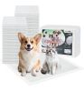 Dog and Puppy Pee Pads with Leak-Proof Quick-Dry Design for Potty Training,Pack of 50
