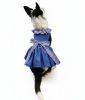 Blue Gingham Dog Dress with Matching Leash
