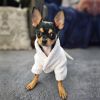 White Silver Tiara Cotton Dog Bathrobe by Doggie Design