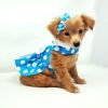 Blue Polka Dot Dog Dress with Matching Leash