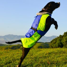 Alpine All-Weather Dog Coat (Color: Blue and Green, size: medium)