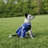 Blue Gingham Dog Dress with Matching Leash