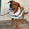 Sherpa-Lined Dog Harness Coat